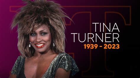 The trials and triumphs of Tina Turner, vividly, violently onstage | Theater review